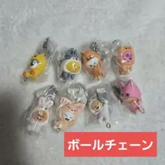 スキズ ガチャ コンプリート つまんでつなげてますこっと