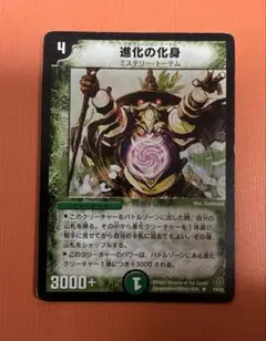 進化の化身　ワンオーナー品