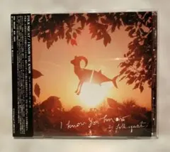FOLK SQUAT/I KNOW YOU KNOW