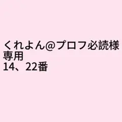 (即購入不可)くれよん＠プロフ必読様専用ページ