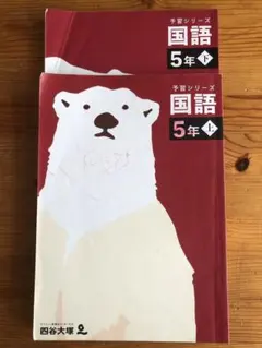 (書き込みなし)5年国語予習シリーズセット 2025年最新】予習シリーズ 5年の人気アイテム - メルカリ
