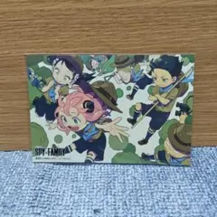 SPY✕FAMILY（スパイファミリー） ポストカード（単行本付録）