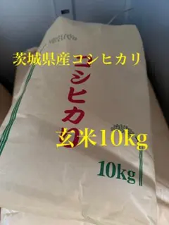 農家直送】令和7年産長野県安曇野市産コシヒカリ玄米10kg - メルカリ