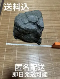 ʟᴇᴏᴘᴀʀᴅ様 リクエスト 2点 まとめ商品