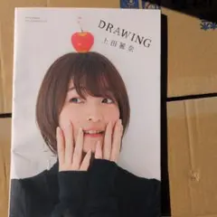 2026年最新】上田麗奈 drawingの人気アイテム - メルカリ