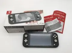 Nintendo Switch Lite 本体 グレー 動作確認済み