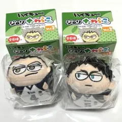 ハイキュー!! プラザ ジロリ たわらっこ 木兎 赤葦 セット