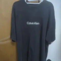 今だけこの値段！Calvin Klein リラックスフィット Tシャツ Mのサムネイル