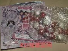 REI様確認用【We♡P】 pretty！チャーム&ブレスレット【りちちゃん】