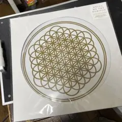 Bring Me The Horizon レコード LP LIVE レア物 Bring Me The Horizon レコード LP LIVE レア物 2025年最新