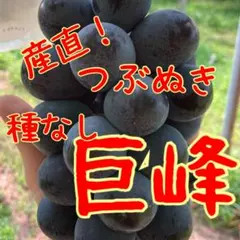【にゃあ〜Mom】巨峰の粒　箱込1kg弱 ☆cyaa☆断捨離中様専用】巨峰の粒 箱込1kg弱 - メルカリ
