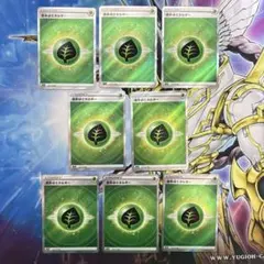 基本草エネルギーSR