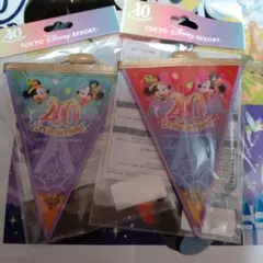 ディズニー　40周年ドリームガーランド