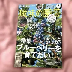 2026年最新】ブルーベリー大図鑑の人気アイテム - メルカリ
