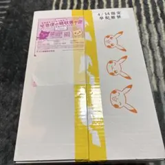 スノーハード＆クレイバスト ポケモンセンター・ジムセット　(ナンジャモセット)