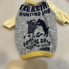 Item thumbnail for item 5ffdd702-b164-4b1b-8cfa-0202c769e4ec