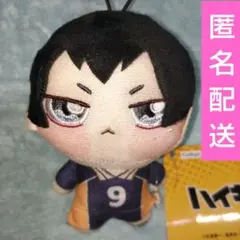 ③ハイキュー!! ちょぴぬいぷちマスコット 9番 FuRyu　影山飛雄