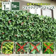 Item thumbnail for item e0746435-aa34-41e6-a871-8d5212c8cb4f