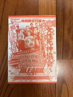 【未開封・未使用】BLEACH 女性死神協会 J-011 Vジャンプ付録