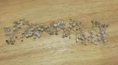 ヘアアクセサリー　【ウェディング、お呼ばれ等】