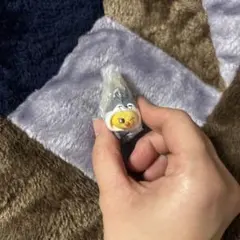 Item thumbnail for item 2c07d634-f671-4f2c-8c88-0ee6f41c99b5