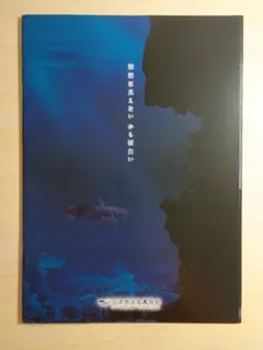 沼津港深海水族館　シーラカンスミュージアム　パンフレット