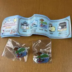 サンリオ　ご当地ピンズコレクション　滋賀 ハンギョドン