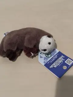 鳥羽水族館 ラッコ ぬいぐるみキーホルダーのサムネイル
