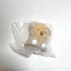 未開封 SKZOO ライトマスコット パピム スンミン