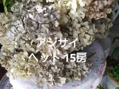 コンコン様 リクエスト 3点 まとめ商品