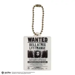 【新品・未開封】 ハリーポッター アクリルチャームコレクション 計１点