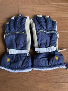 スキーグローブ レディース