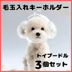 Item thumbnail for item e850a981-620d-4de0-9eb4-c346d841f719