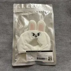 【新品最安値】　スキズ　リノ　Leebit ペンライトカバー