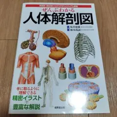 Item thumbnail for item 5ca1d60f-173b-4a7c-8685-3e4dab7ef2a0