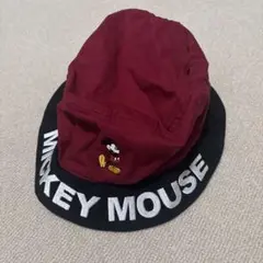 Tokyo Disney RESORT 帽子