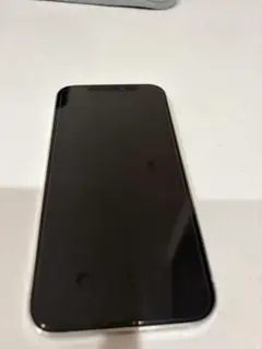 Apple iPhone 12 Pro シルバー 本体