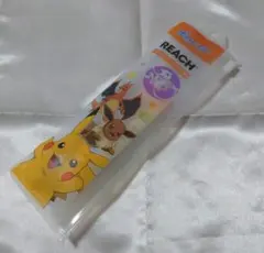 ピカチュウ　ポケモン　キッズ歯ブラシ　キッズ歯みがき粉　はえかわり用　リーチ