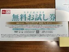 スタジオマリオ 無料お試し券のサムネイル