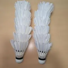 Item thumbnail for item e1d4369e-30bc-4527-92ae-1438ba22e71a