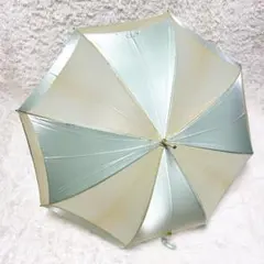 2026年最新】Christian Dior レディース長傘 晴雨兼用の人気アイテム