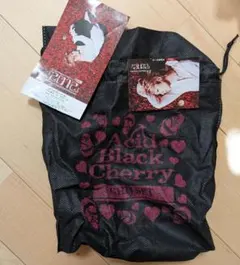 【バッグのみ】GHIJセット Acid Black Cherry カード
