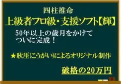 四柱推命【上級者プロ級・支援ソフト】