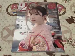 Item thumbnail for item b981c28d-0420-4cc4-ad63-5947ee216188