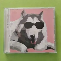 ⭐8㎝CD希少⭐鈴木聖美 ふたりの季節 c/w:胸さわぎ ⭐8㎝CD希少⭐鈴木聖美 ふたりの季節 c/w:胸さわぎ