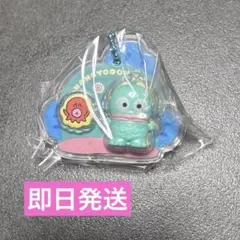 サンリオキャラクターズ　パッケージチャーム　ハンギョドン はんぎょどん