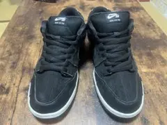 27cm NIKE SB DUNK LOW PRO wasted youth