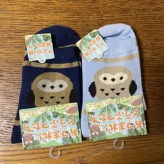 動物柄ストライプソックス 2足セット