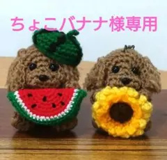 ちょこバナナ様専用 トイプードルあみぐるみ 夏バージョン2点セット