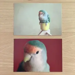 Nikuko様 リクエスト 2点 まとめ商品